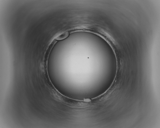 X0000112761308200908201430