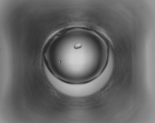 X0000112761312200908201430