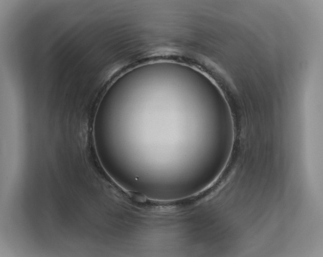 X0000112761313200908201430