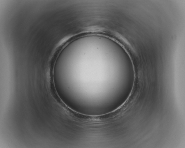 X0000112761315200908201430