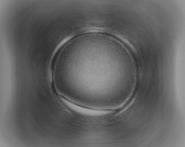 X0000112761317200908201430