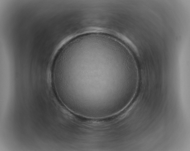 X0000112761318200908201430
