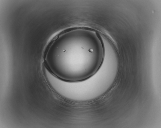 X0000112761320200908201430