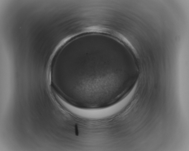 X0000112761323200908201430