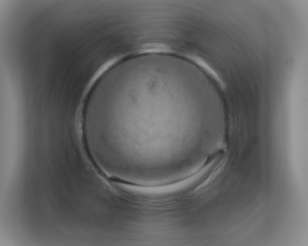 X0000112761325200908201430