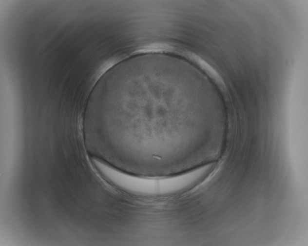 X0000112761329200908201430