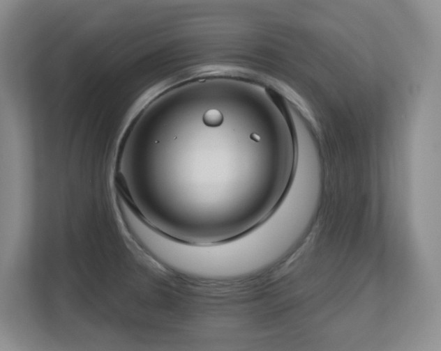 X0000112761330200908201430