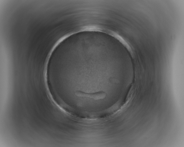 X0000112761331200908201430