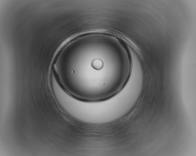 X0000112761332200908201430