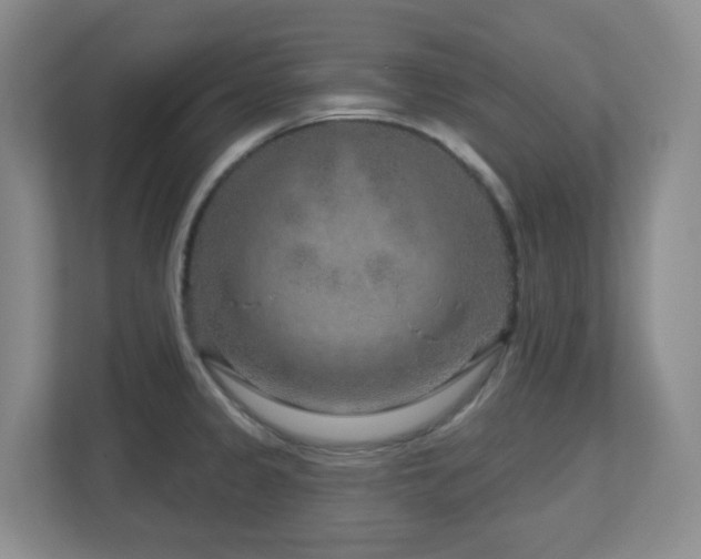 X0000112761333200908201430