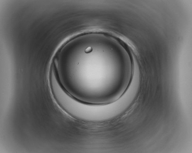 X0000112761334200908201430
