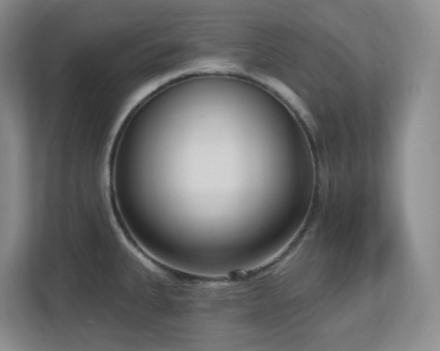 X0000112761335200908201430