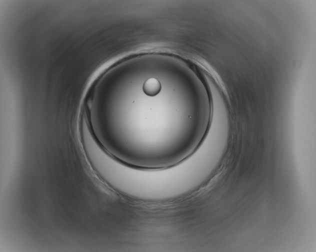 X0000112761336200908201430