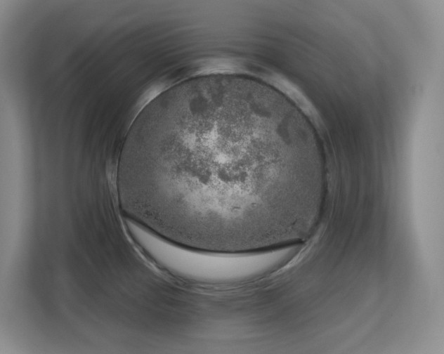 X0000112761337200908201430