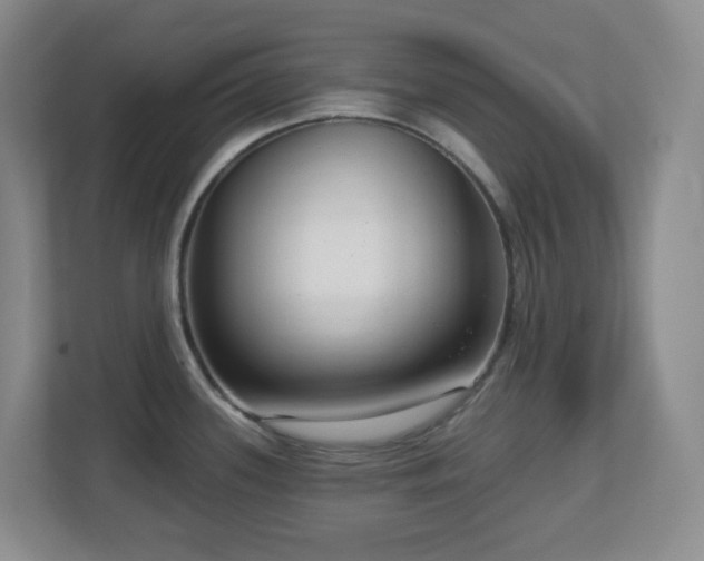 X0000112761339200908201430