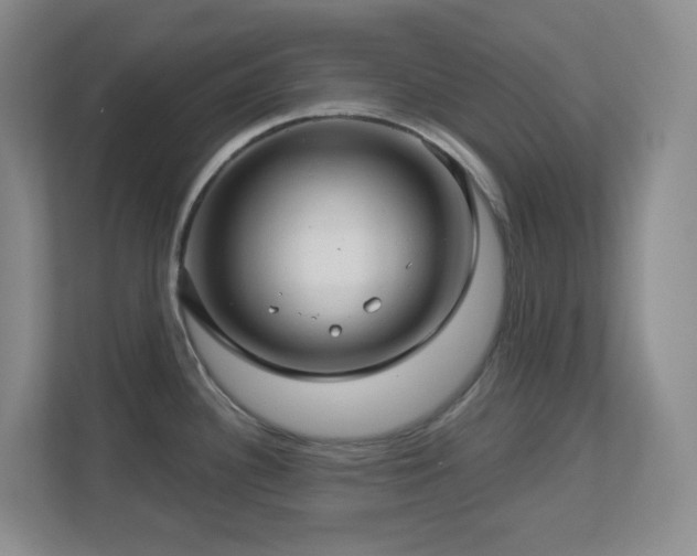 X0000112761340200908201430
