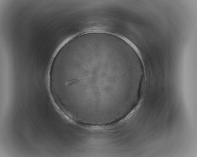 X0000112761341200908201430