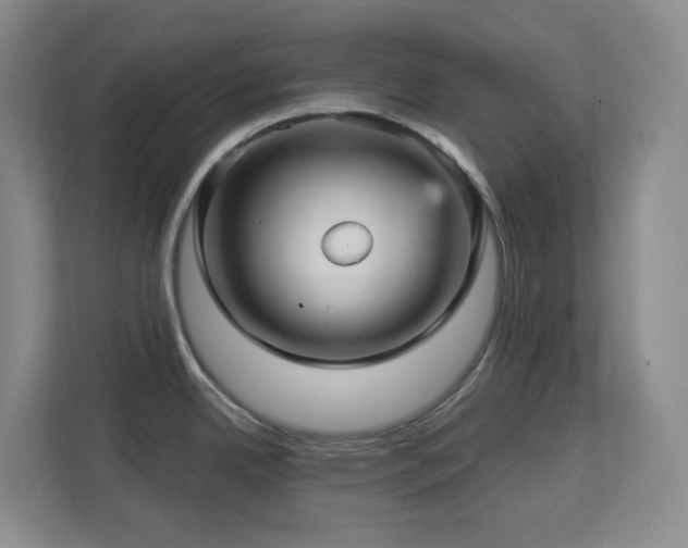 X0000112761342200908201430
