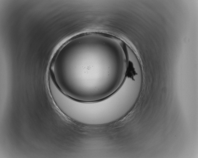 X0000112761344200908201430