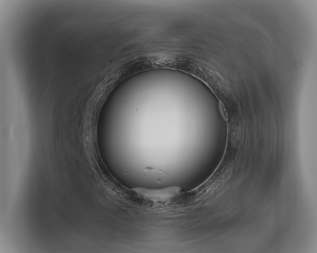 X0000112761345200908201430