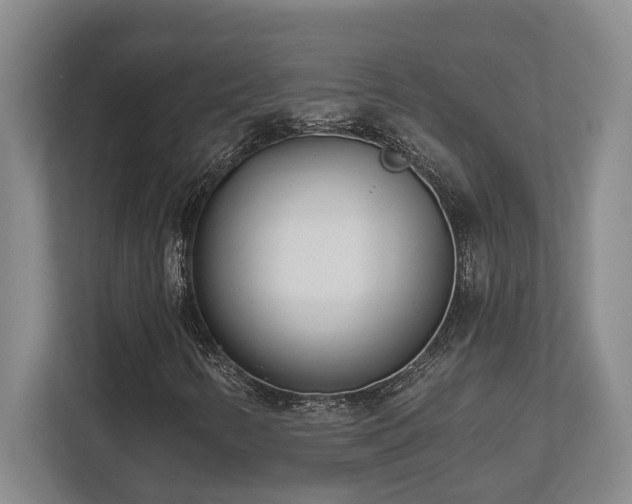 X0000112761346200908201430