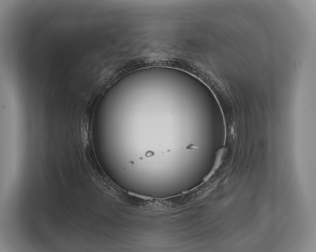 X0000112761348200908201430