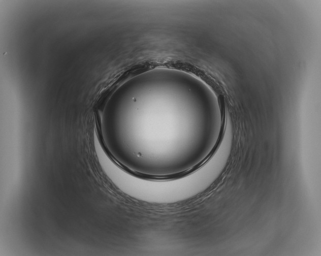 X0000112761349200908201430