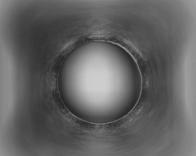 X0000112761350200908201430