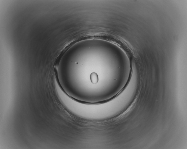 X0000112761353200908201429