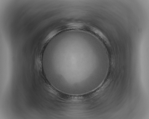 X0000112761354200908201429