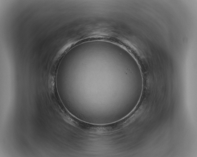 X0000112761355200908201429