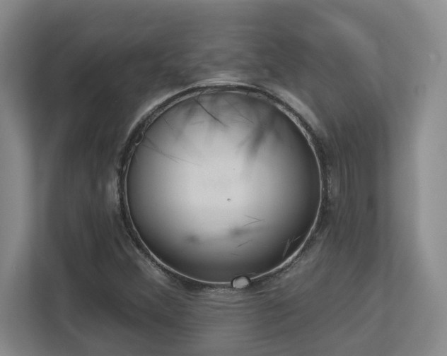X0000112761356200908201429