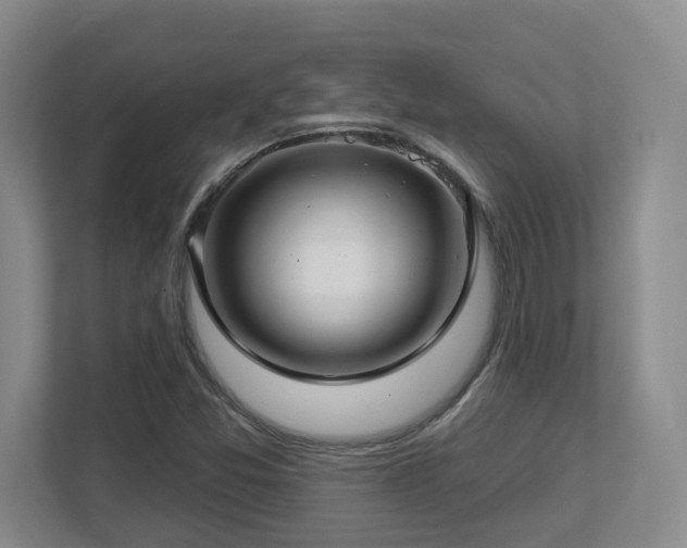 X0000112761357200908201429