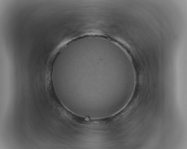 X0000112761359200908201429