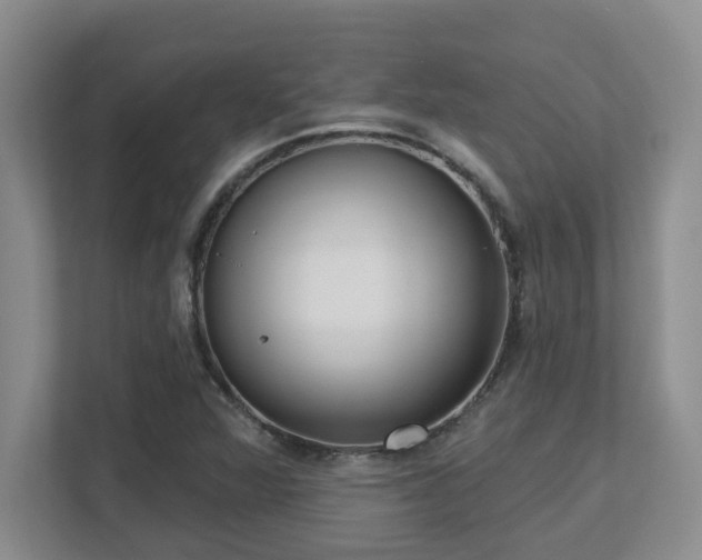 X0000112761360200908201429