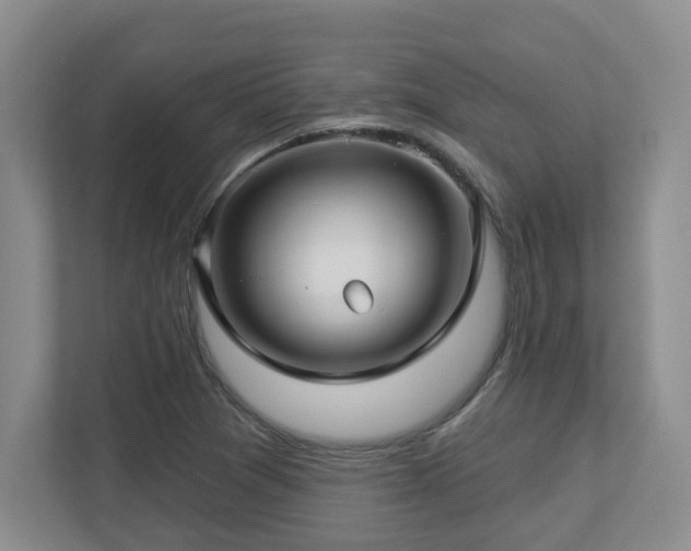 X0000112761361200908201429