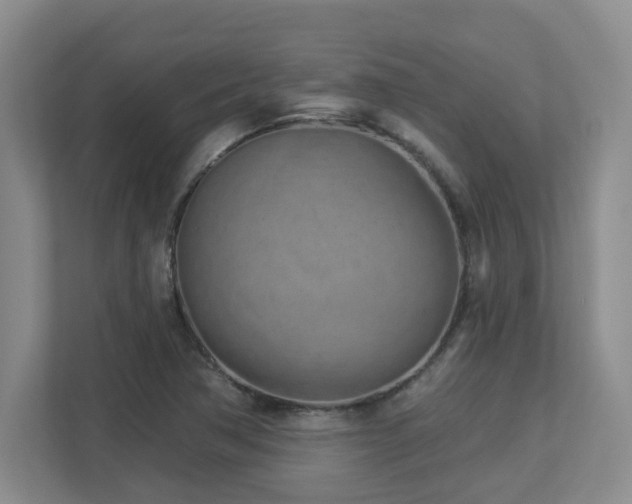 X0000112761362200908201429