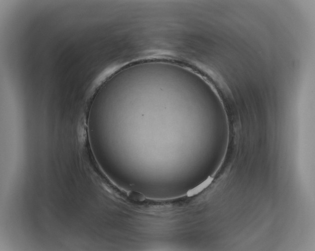 X0000112761363200908201429