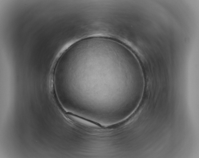 X0000112761367200908201429