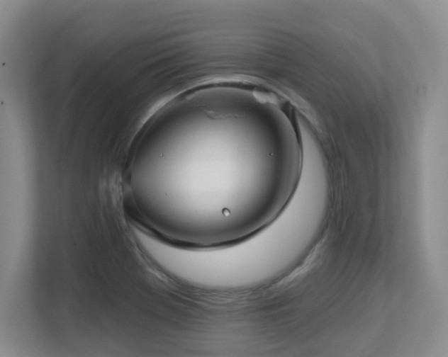 X0000112761369200908201429