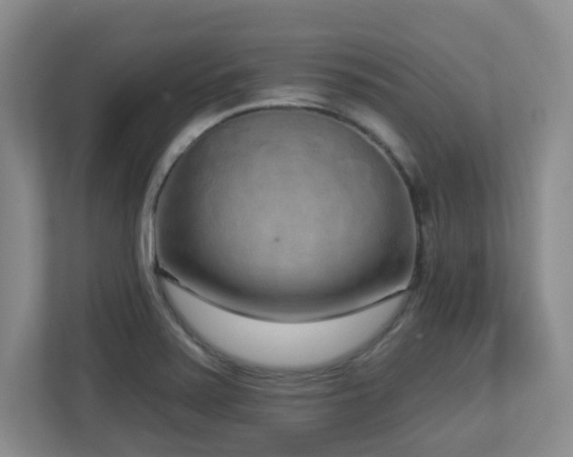 X0000112761371200908201429