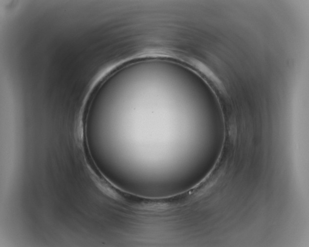 X0000112761372200908201429