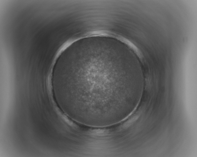 X0000112761373200908201429