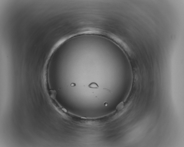 X0000112761375200908201429