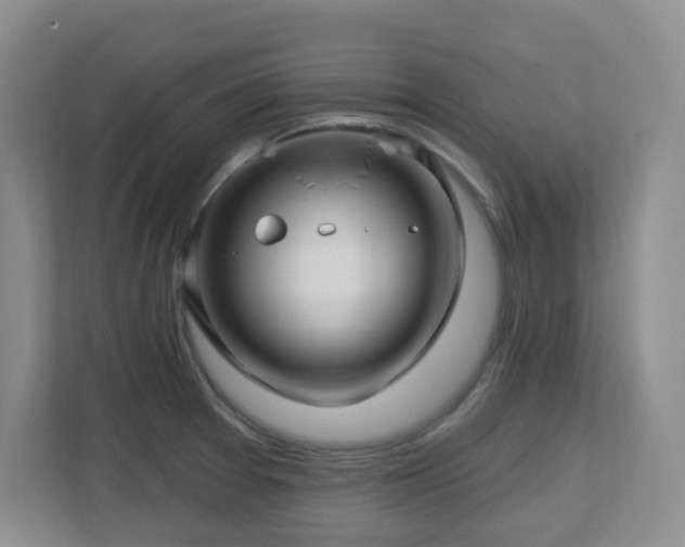 X0000112761377200908201429