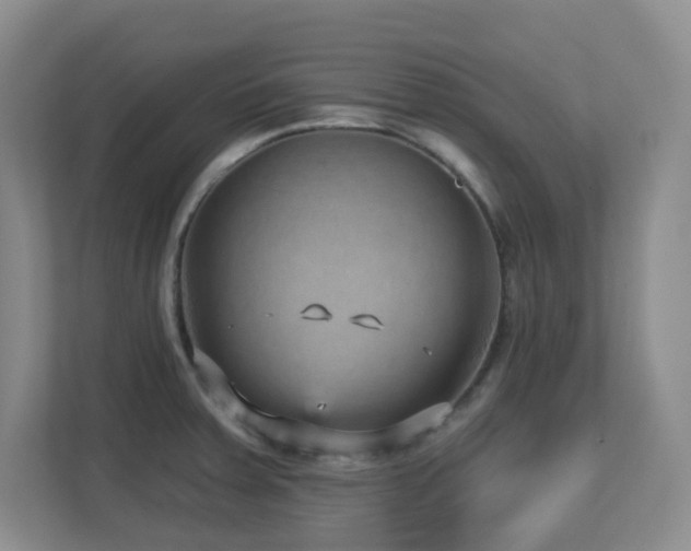 X0000112761379200908201429
