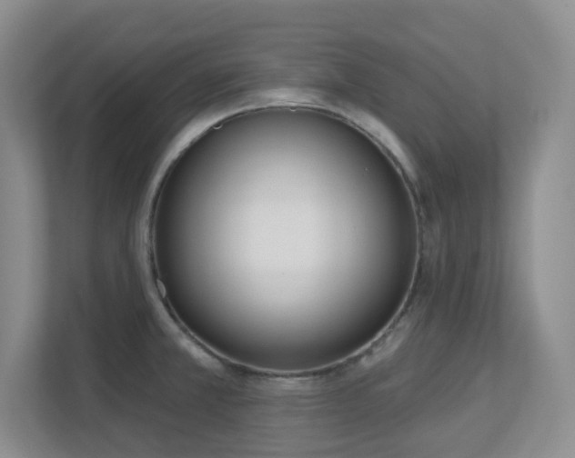 X0000112761381200908201429