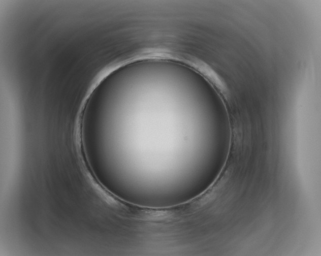 X0000112761382200908201429