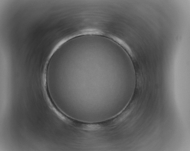 X0000112761383200908201429