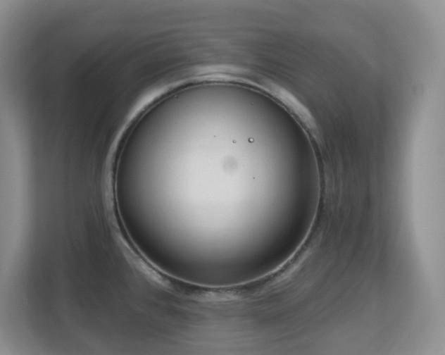 X0000112761384200908201429